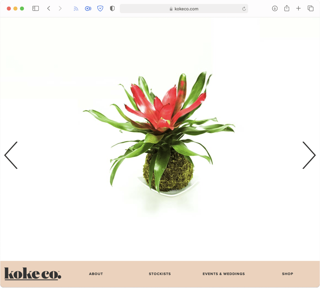 Kokeco website homepage